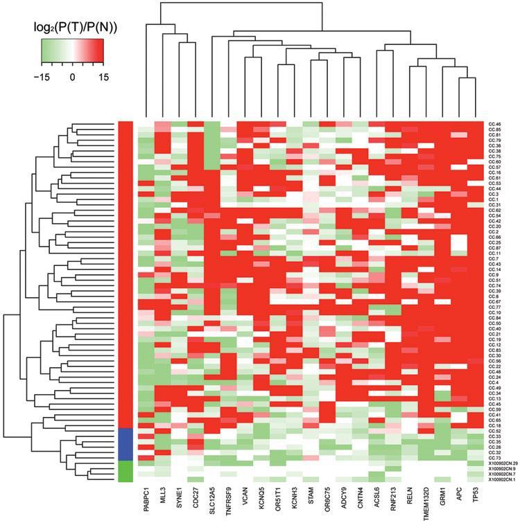 Trascrittomica: analisi dei dati di espressione genica Heatmap, o comparazione quantitativa: Il lettore di fluorescenza compara il livello relativo ai due segnali (rosso-verde) geni espressi