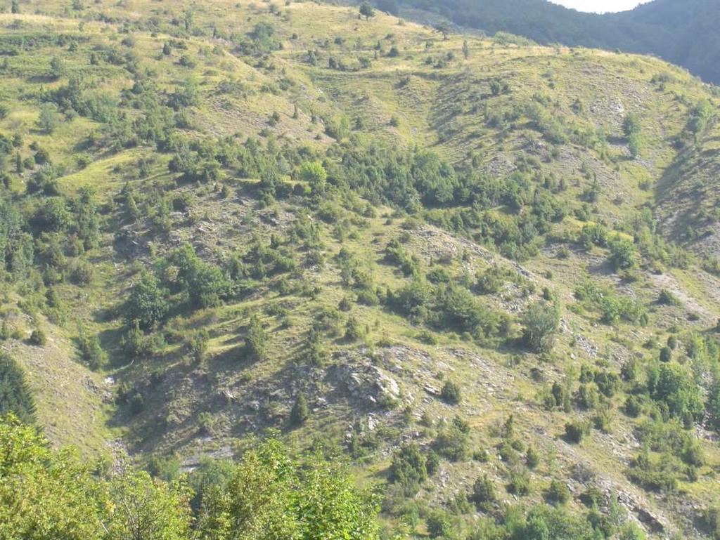 CAP. 3 DESCRIZIONE DELLE CRITICITÀ E DELLE CAUSE DI MINACCIA PAG. 124 Figura 10 - Diffusione di arbusti su praterie sui versanti occidentali del Monte Ventasso 3.6 