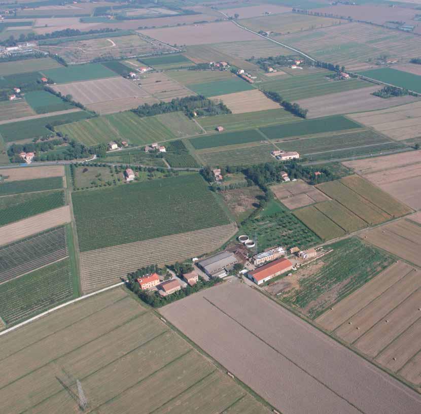 svolte esclusivamente a mano, mentre relativamente al Lambrusco sono stati considerati impianti con potatura e raccolta meccanica. La durata degli impianti è stata ipotizzata pari a 25 anni.