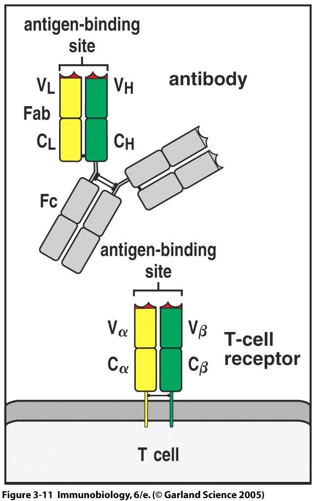 Figure 3-11