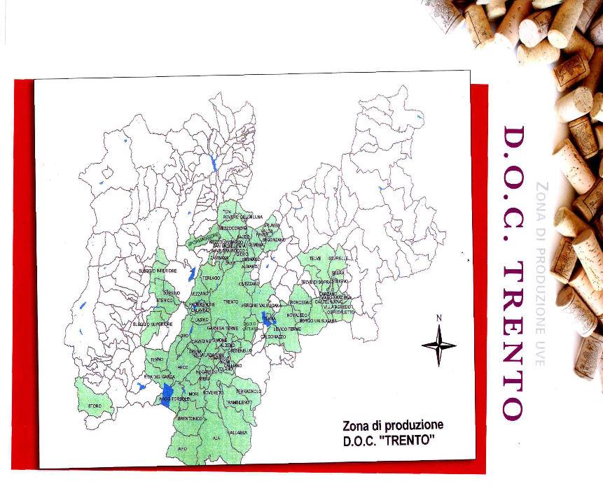 PRODUZIONE DA DISCIPLINARE: 150 q/ha CHARDONNAY, PINOT NERO, PINOT