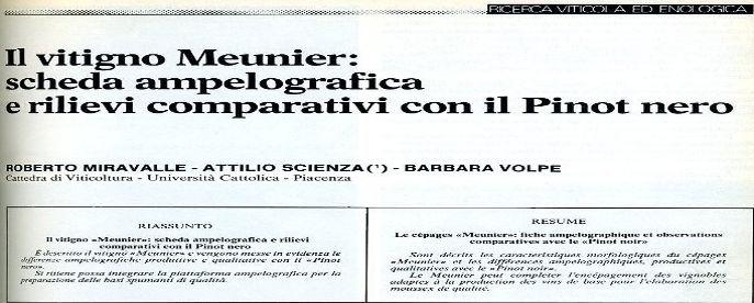 Meunier É stato iscritto nel 1980 al registro italiano delle Varietà di Vite (D.M. 01/10/1980; G.U.