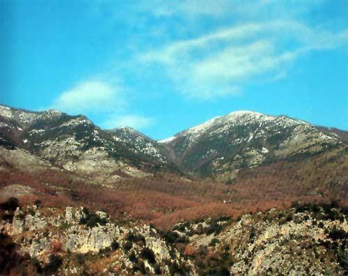 Affiliati alla FederTrek ESCURSIONE SUI MONTI AUSONI/AURUNCI Cima del Redentore (1259 m.) Monte Petrella (1553 m.