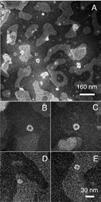 struttura b e noti per il loro ruolo in molte patologie (J. Schnabel, Nature. 464/8 (2010) 828). 2 1 Le proteine Amiloidi Auto-aggregano.