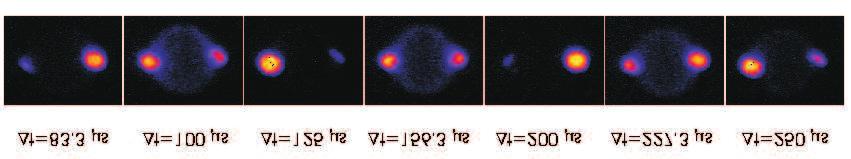 56 L APPARATO SPERIMENTALE t=83.3 s t=100 s t=125 s t=156.3 s t=200 s t=227.3 s t=250 s Popolazione N 1 /(N 1 +N 0 ) 1.0 0.8 0.6 0.4 0.2 0.0 0.2 0.3 0.4 0.5 Tempo di interazione [ms] Figura 3.