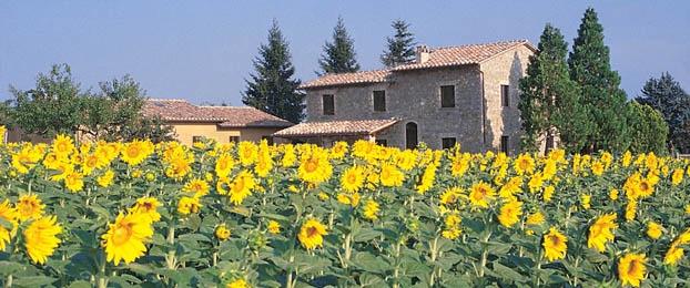 della Cia, Dino Scanavino- il movimento agrituristico in Italia è un fenomeno in costante crescita dal 1985 (+55% in dieci anni), rappresentando uno degli asset più performanti del settore primario e