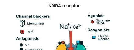 Ca2+