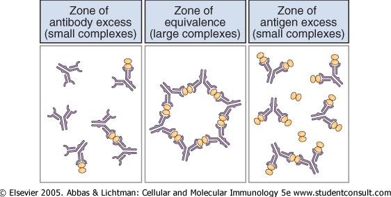 Reazione di Precipitazione: Se in soluzione si aggiungono Ag e