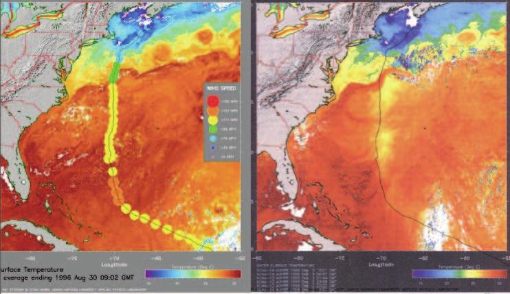 Cicloni tropicali: l interazione con il mare L intensità dipende da condizioni ambientali e da processi interni al ciclone tropicale.
