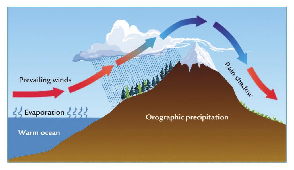 Precipitazioni Formazione: l aria umida sale e si raffredda provocando la condensazione del vapore acqueo in gocce.