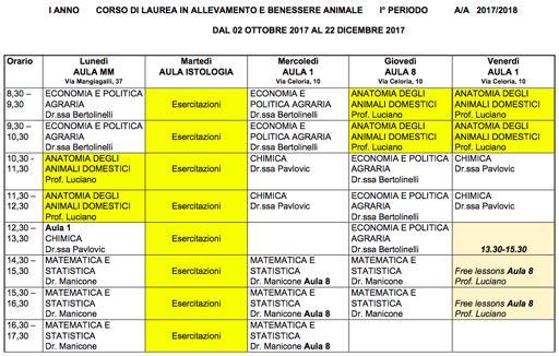 Lezioni frontali Esercitazioni e gruppi Fonti Esame Incontri in gruppi (meglio)