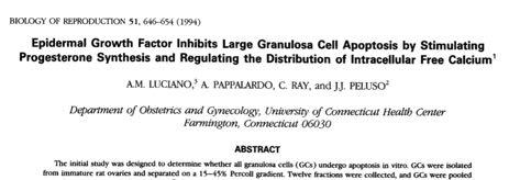 esempio L apoptosi