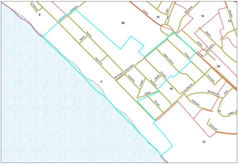 6 - LA VALUTAZIONE DELLA QUALITÀ 83 Figura 4.13 - Visualizzazione di una Mappa della Sezione di Censimento priva di ortofoto Figura 4.