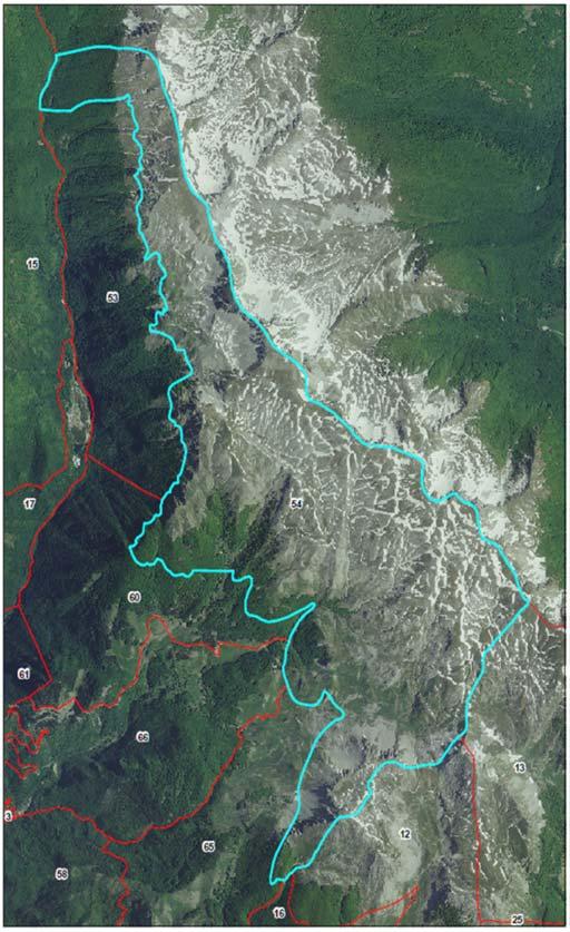 Nei casi in cui la qualità dell immagine non era tale da consentire la generazione delle mappe (es.