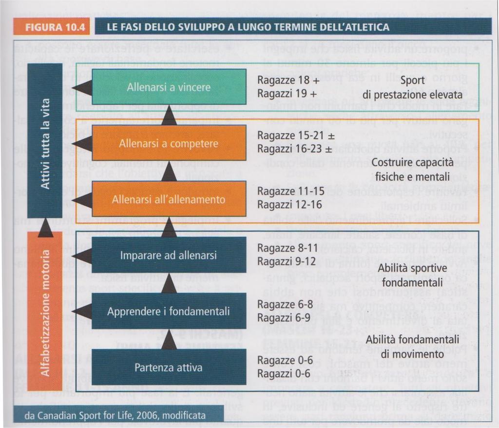 Modello LTDA (Long-Term Athete Development) (Balyi, 2001)