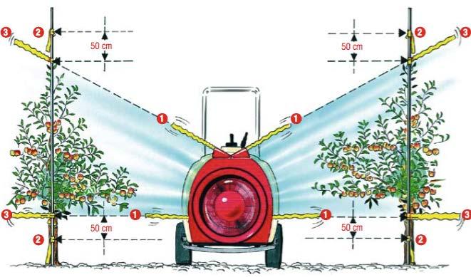 Regolare, in funzione dell altezza della chioma, dello spessore e della densità della vegetazione, e della larghezza dell interfila: 1.