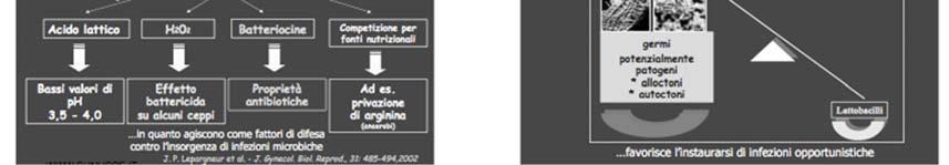 ha effetto battericida su alcuni ceppi - Le batteriocine hanno proprietà antibiotiche - Inoltre