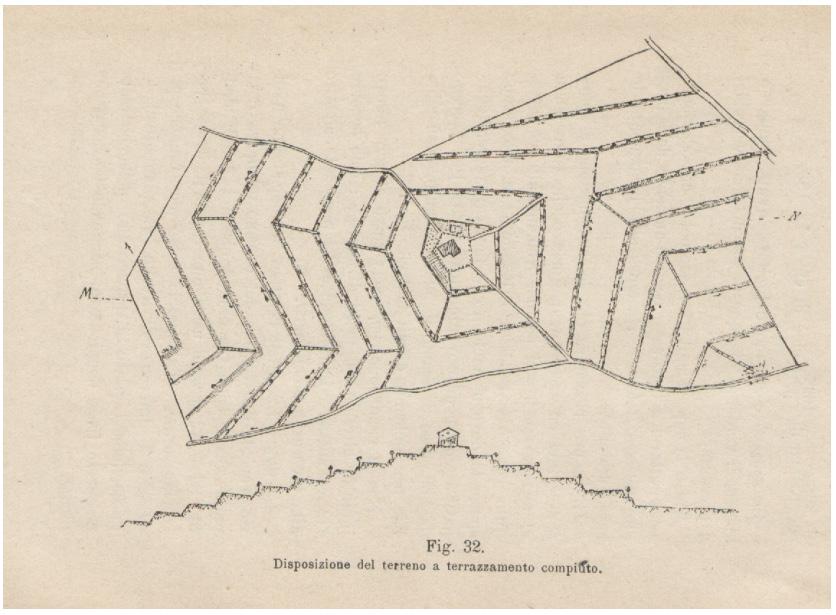 filari disposti lungo le curve di livello (da Conti, 1911). Figura 70.