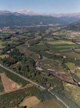 superfici. L intera pianura padana, un tempo coperta per gran parte da boschi planiziali, è stata trasformata nella più ampia area agricola italiana.