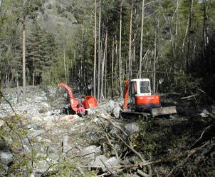 Capitolo 1 - Il fenomeno della desertificazione e le sue componenti senza badare molto alla salvaguardia della risorsa.