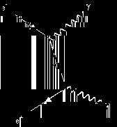 positrone Annichil. e+e Sciami elettromagnetici: processo elettromagnetico.