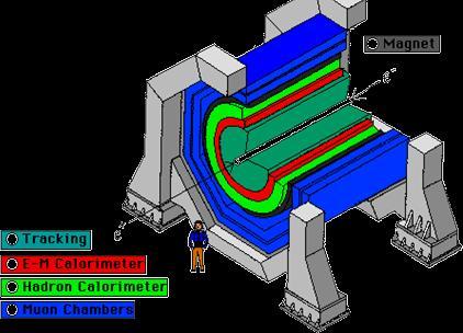 La tipica struttura di un rivelatore ai collisionatori Misurare al meglio particelle cariche, Fotoni,