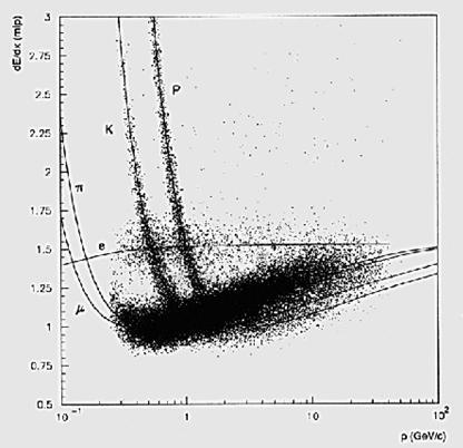 Perdita di energia delle particelle cariche nella materia Le particelle