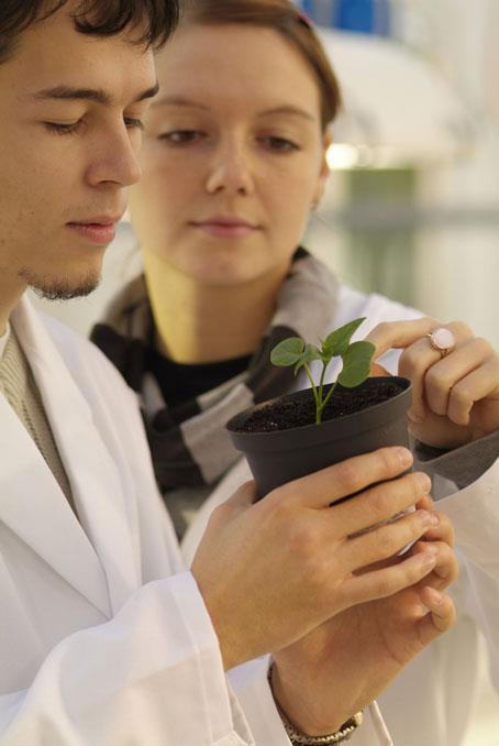 Il dottorato di ricerca in Germania Il dottorato in co-tutela La supervisione è svolta da due professori: uno presso un università italiana e uno presso un università tedesca Le due università