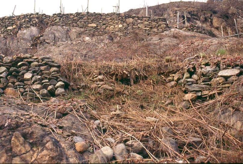 Conseguenze Questo fenomeno non può essere letto solo dal punto di vista agronomico E perdita di un capitale fisso accumulato e conservato nei secoli Stabilità ed equilibrio idrogeologico Perdita di