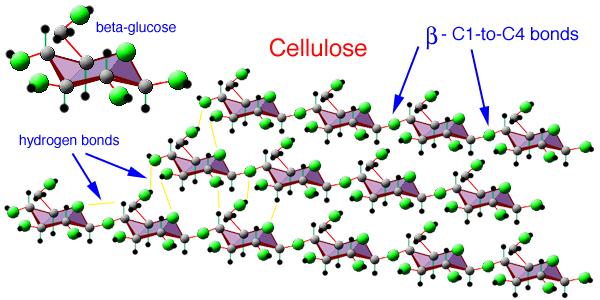 Resistenza meccanica e limitata estensibilitò conferite da legami di idrogeno http://www.brooklyn.cuny.edu/bc/ahp/lad/c4c/c4c_p olysaccharides.html Fibroina della seta http://bio1151b.nicerweb.