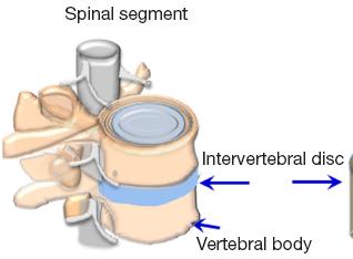 pathophysiology treatment. Pain Pract.