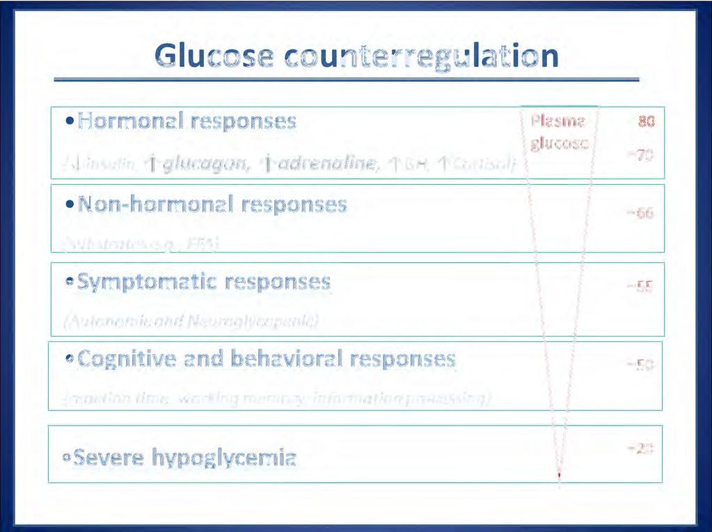 Glucose counterregulation Hormonal responses (~insulin,
