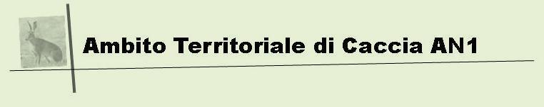 REGOLAMENTO ATTUATIVO PER LA GESTIONE E IL PRELIEVO DI