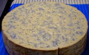 UTILIZZO DELL OZONO NELLA STAGIONATURA DEI FORMAGGI Numerosi funghi e batteri trovano nel formaggio un eccellente mezzo di crescita.