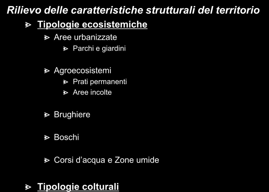 Rilievo delle caratteristiche