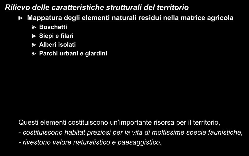 Rilievo delle caratteristiche strutturali del territorio Mappatura degli elementi naturali