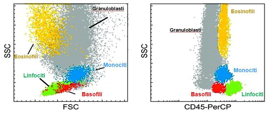 ESEMPIO DI CITOGRAMMA NORMALE NORMALE: IL CD45 CD45: ANTIGENE PAN LEUCOCITARIO, ovvero