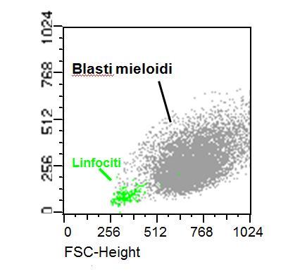 CITOGRAMMA NORMALE ESEMPIO DI CITOGRAMMA PATOLOGICO (LEUCEMIA ACUTA) CD45: ANTIGENE PAN LEUCOCITARIO,