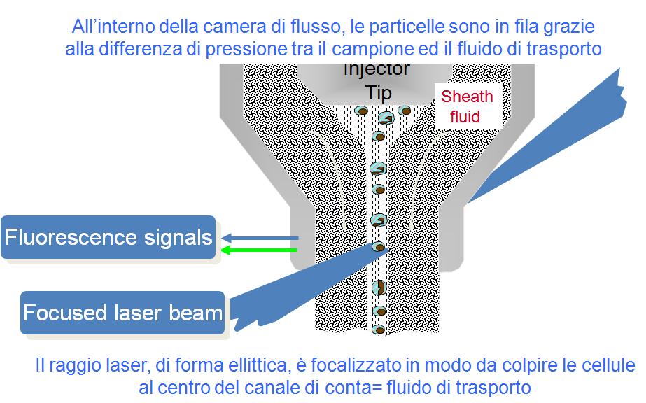 Camera di flusso