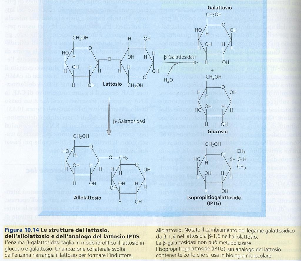 FIG. 10.