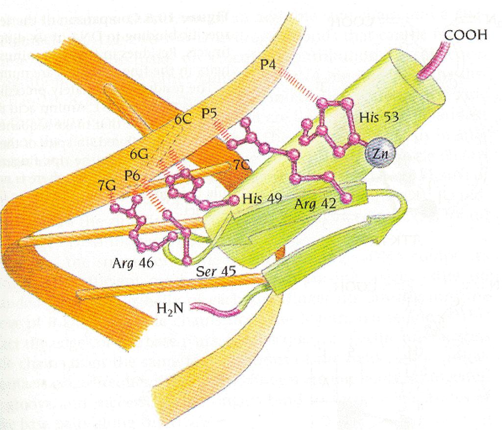 FIGURA 10.