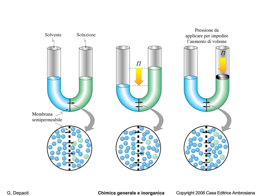 Proprietà colligative Osmosi pressione osmotica Π=M soluto RT Π=[soluto]RT G.