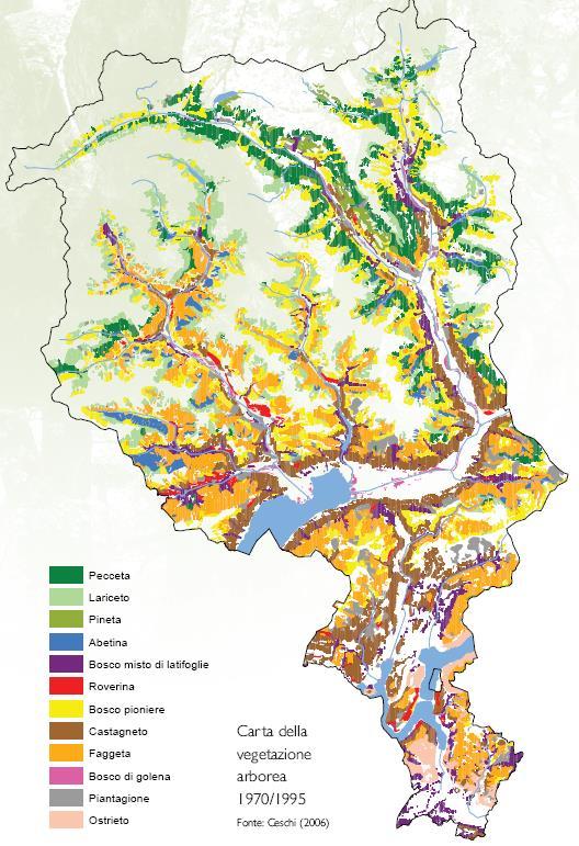 Figura 38 La carta della vegetazione arborea del Cantone Ticino