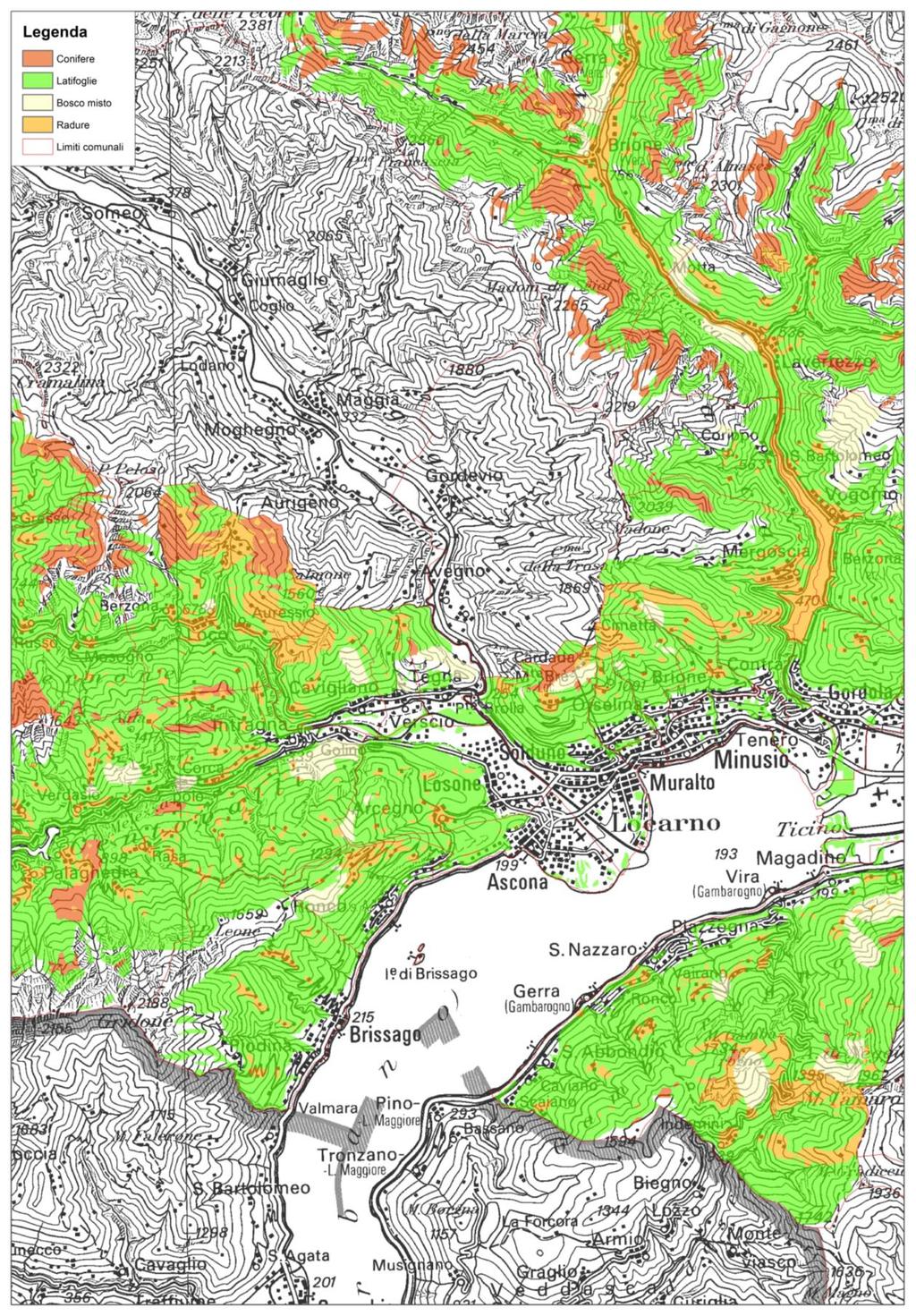 Figura 39 Classificazione del bosco della Regione Locarnese nelle categorie conifere, latifoglie e bosco misto