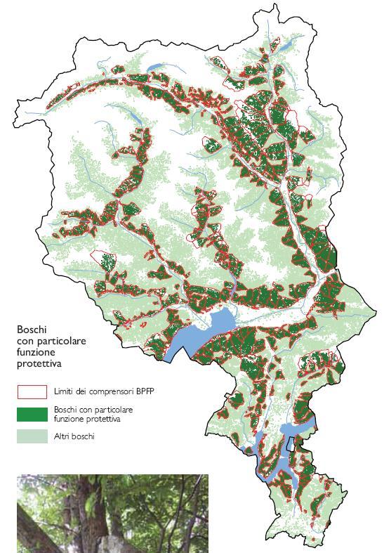 Figura 43 Boschi con particolare funzione protettiva [fonte :