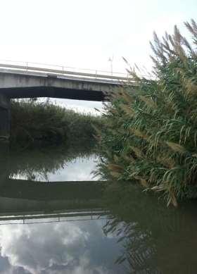 Il ponte stradale e il litorale ad E, verso Capo Mongerbino