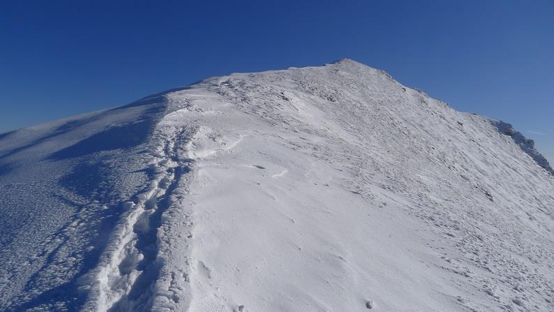 Durante questo tratto, splendido è il panorama sulla valle delle Tagliole con sullo sfondo lo scenario del Giovo, della Grotta Rosa, dell Altaretto e del Rondinaio che