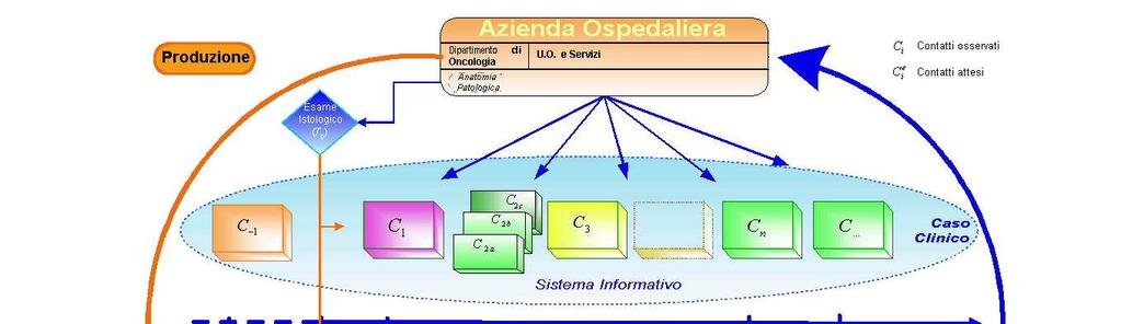 ROL MACROAREA 4: La