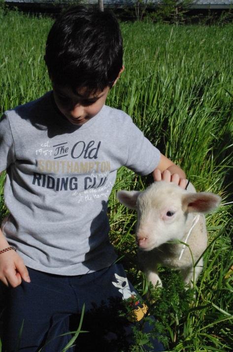 !! Il giorno dopo si incontrarono di nuovo. Ciao, hai parlato con la tua mamma? chiese Carletto. Ma certo, rispose la pecorella.