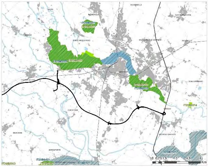 Integrazione del sistema transpadano - direttrice Cremona-Mantova.